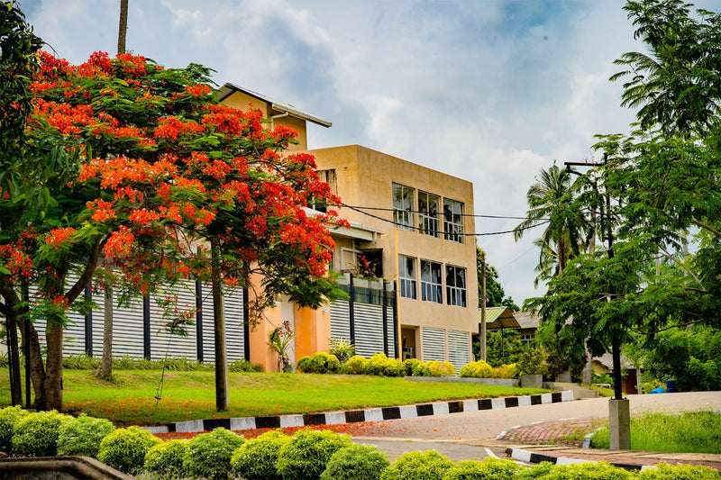 Wayamba University of Sri Lanka